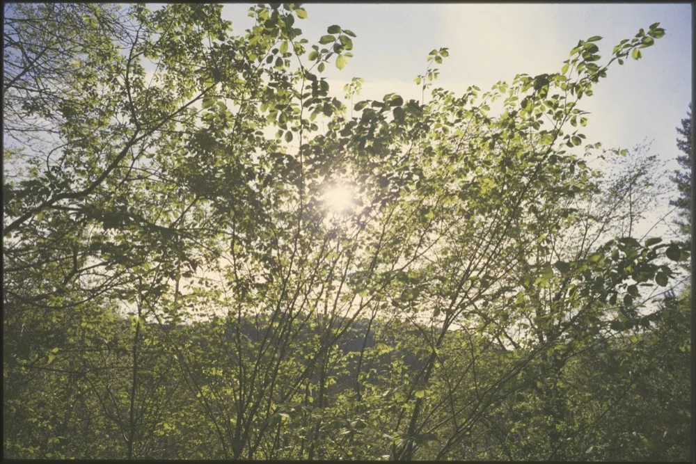 Expired slide film. © Jon Pountney