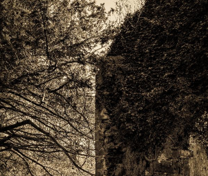 The Ruin @ Oriel Blodau Bach