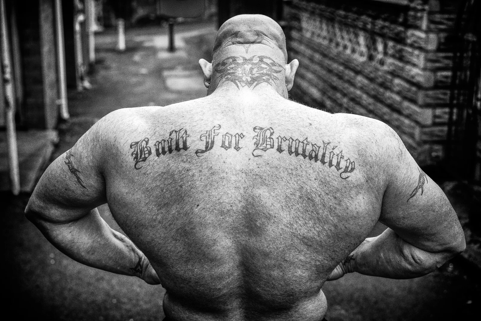 'Lee the Tank' Image © Robert Haines