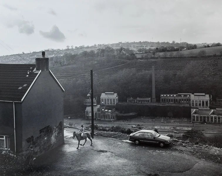 Image ©&nbsp;Ron McCormick