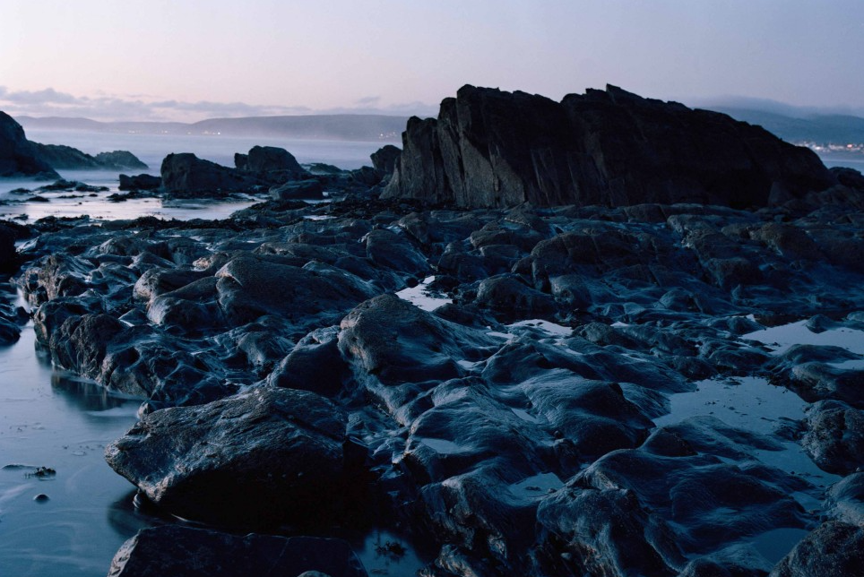 THE BLACK CROWS OF BORTH @ Elysium Gallery