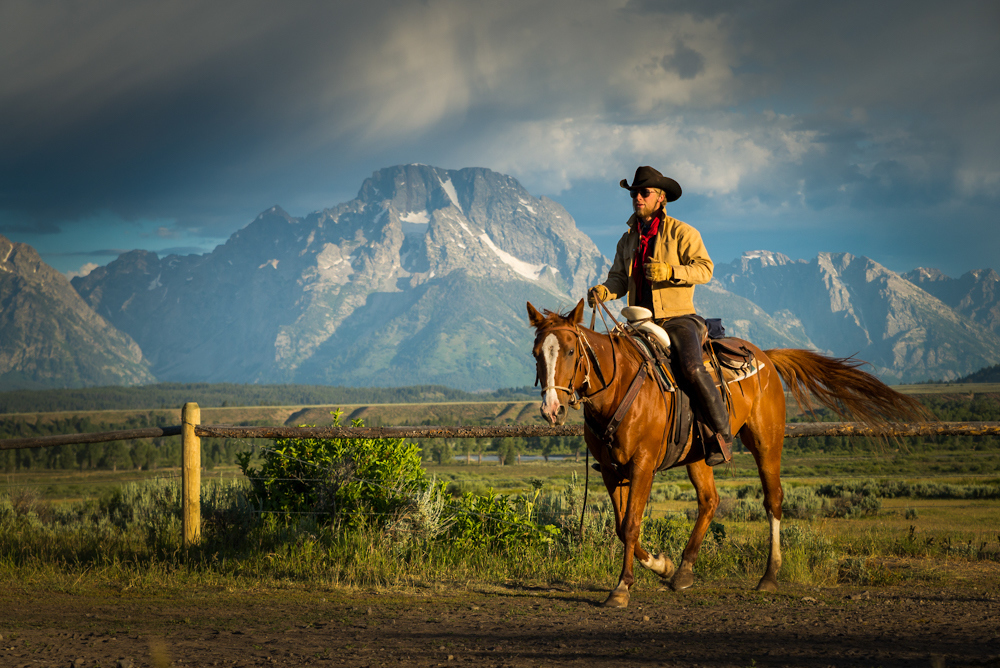 Wyoming Cowboy