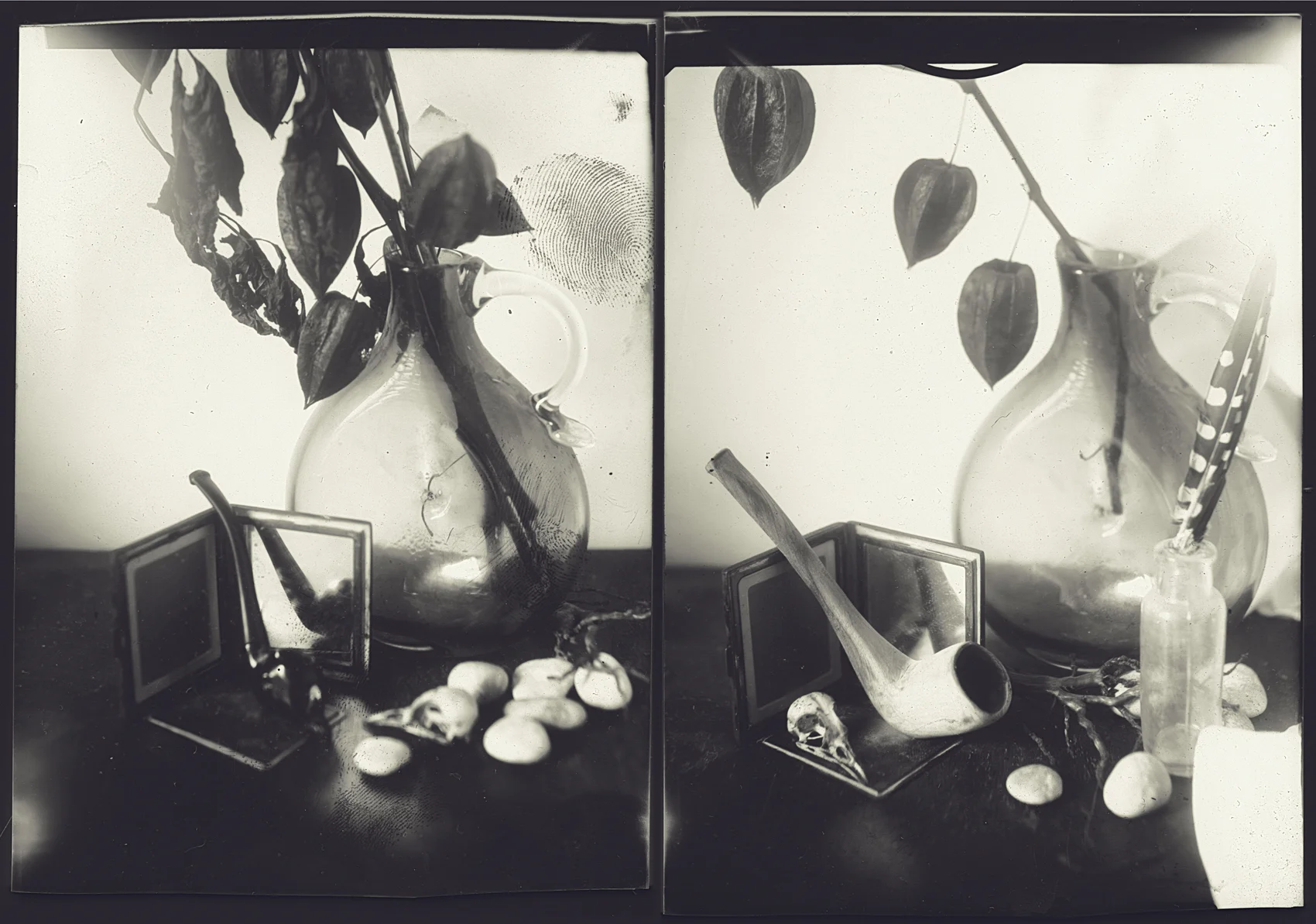 ©&nbsp;Alexey Shportun