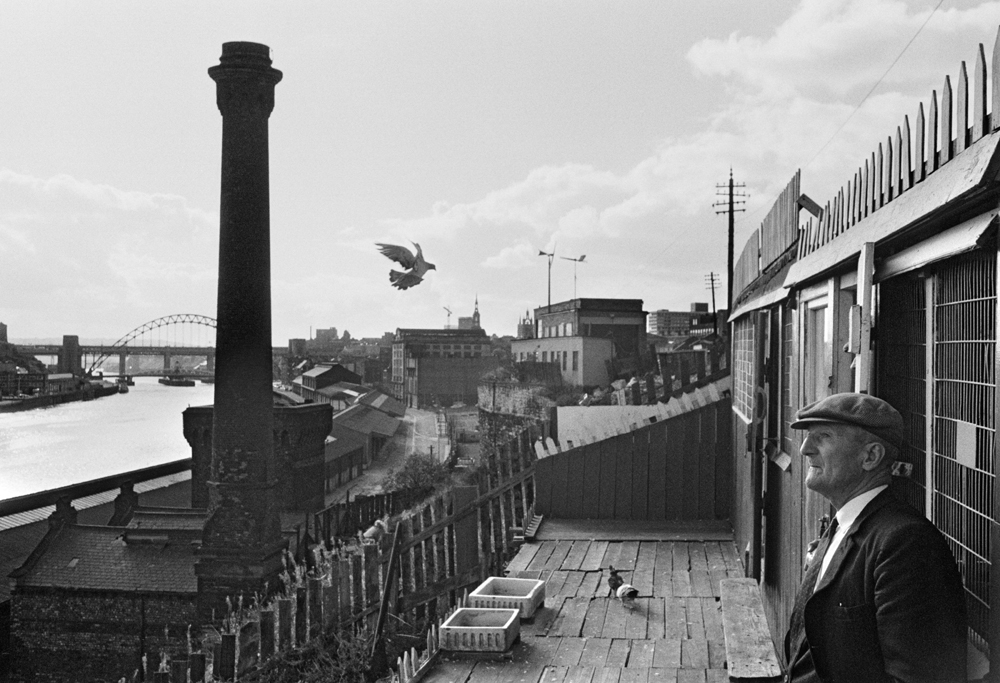 Newcastle upon Tyne. Pigeon cree. September 1974.