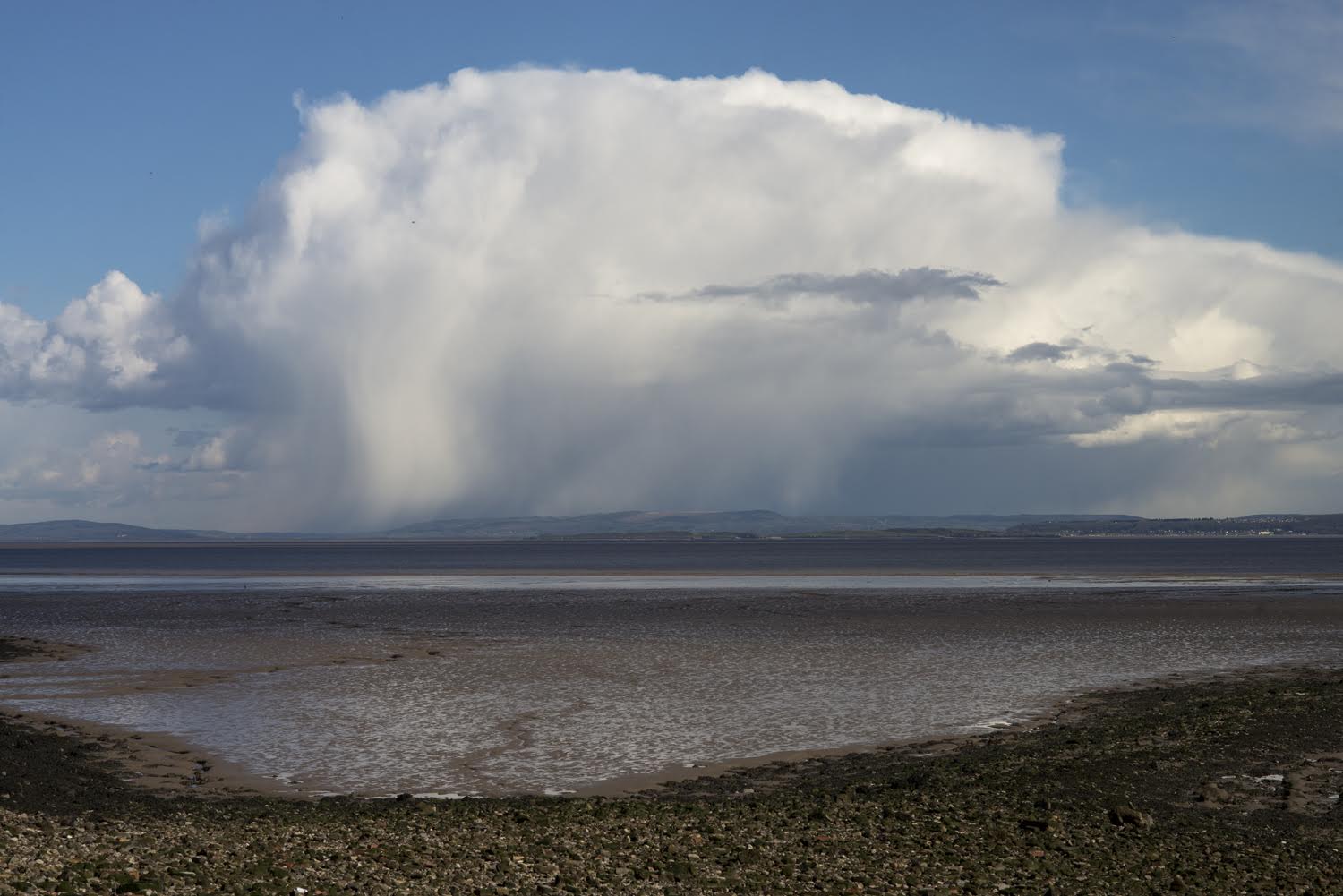 Beachcombing @ Oriel Colwyn