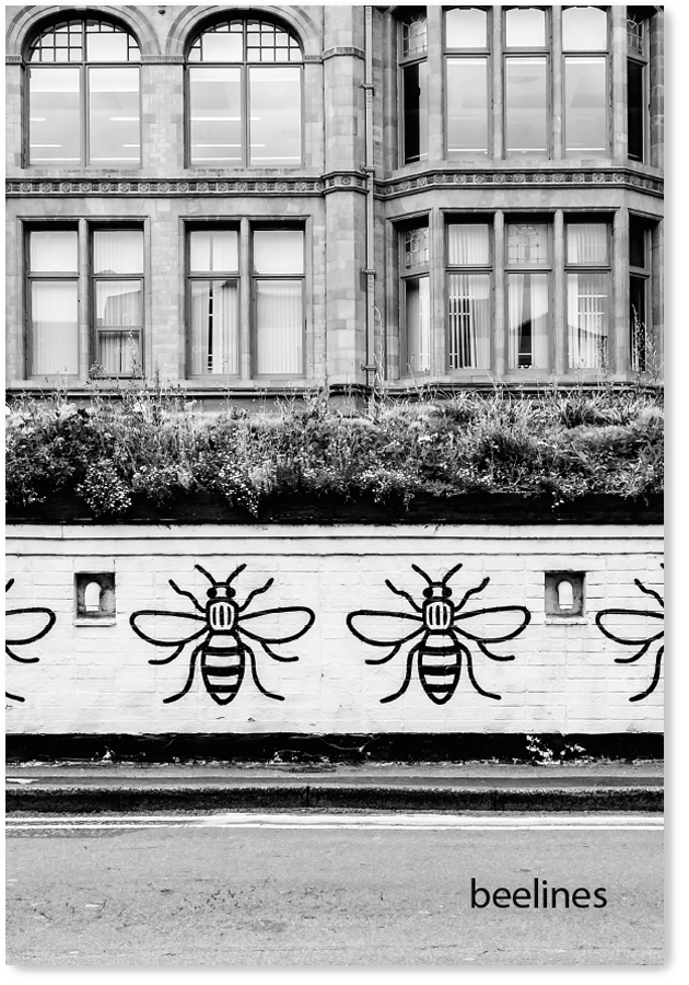 Printed Zine by Tracey Paddison and Pommy Harmar with their personal creative interpretation of the 'Cake, Jam and Bees' project.