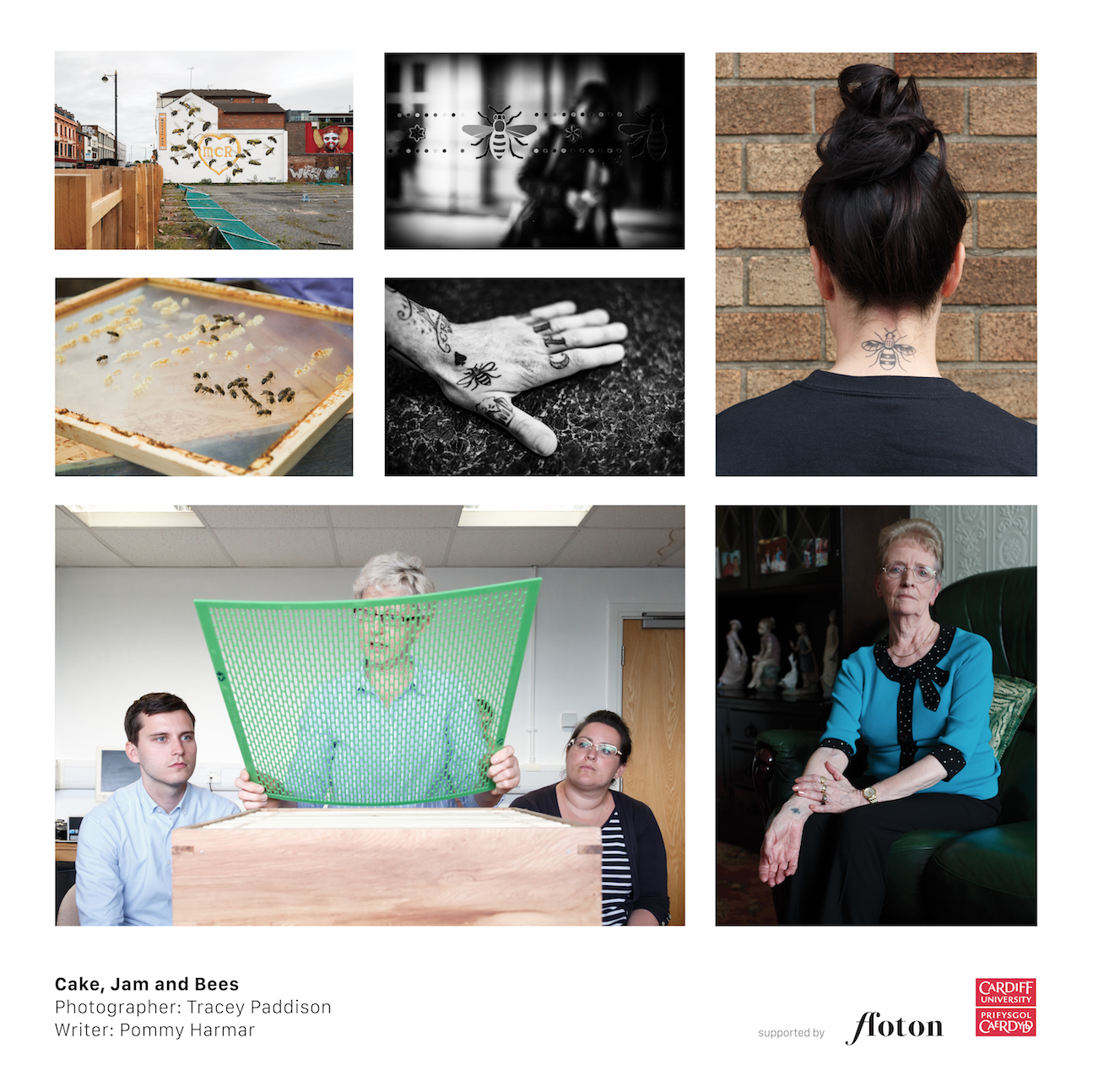 Bees. Images © Tracey Paddison