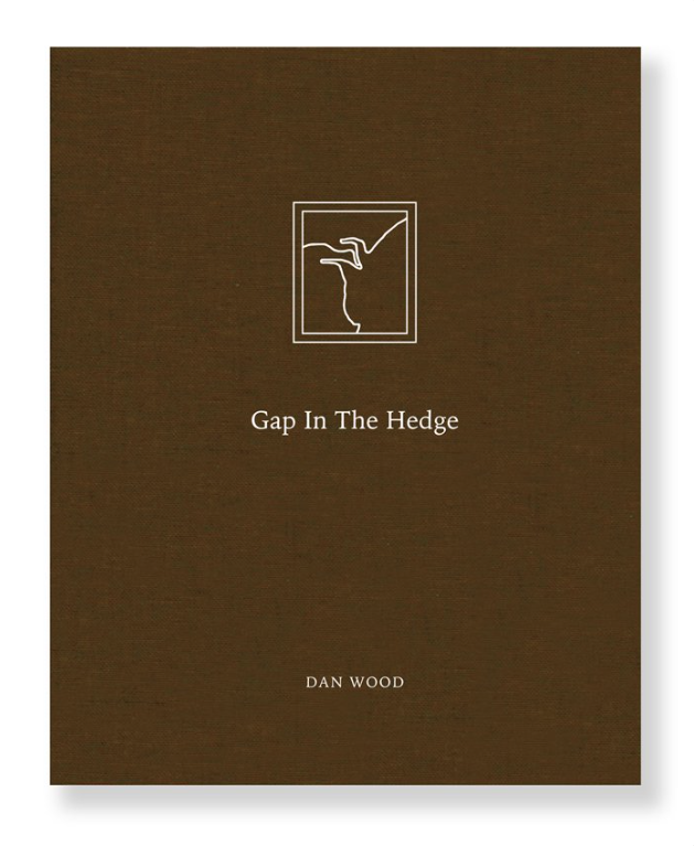 Gap in the Hedge - book cover