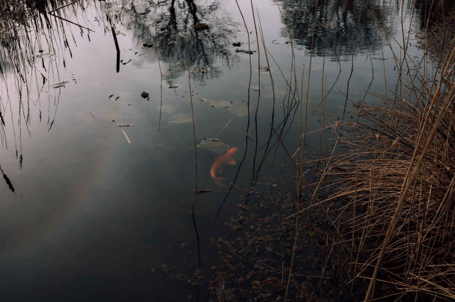 Screen Shot 2018-06-13 at 22.12.32.png