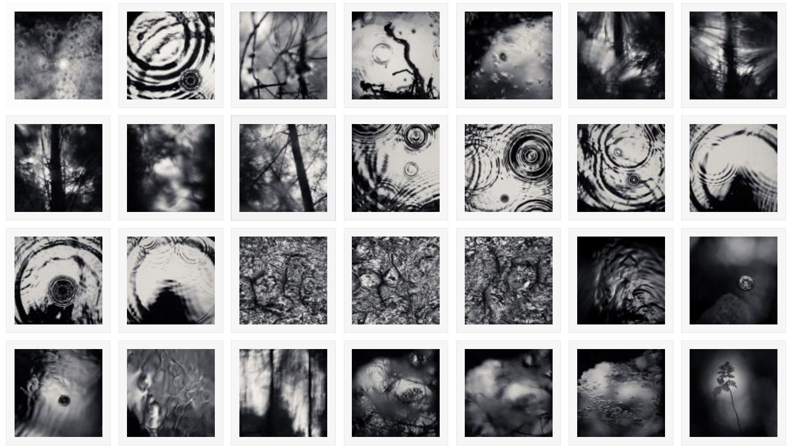 Images by Matt Botwood