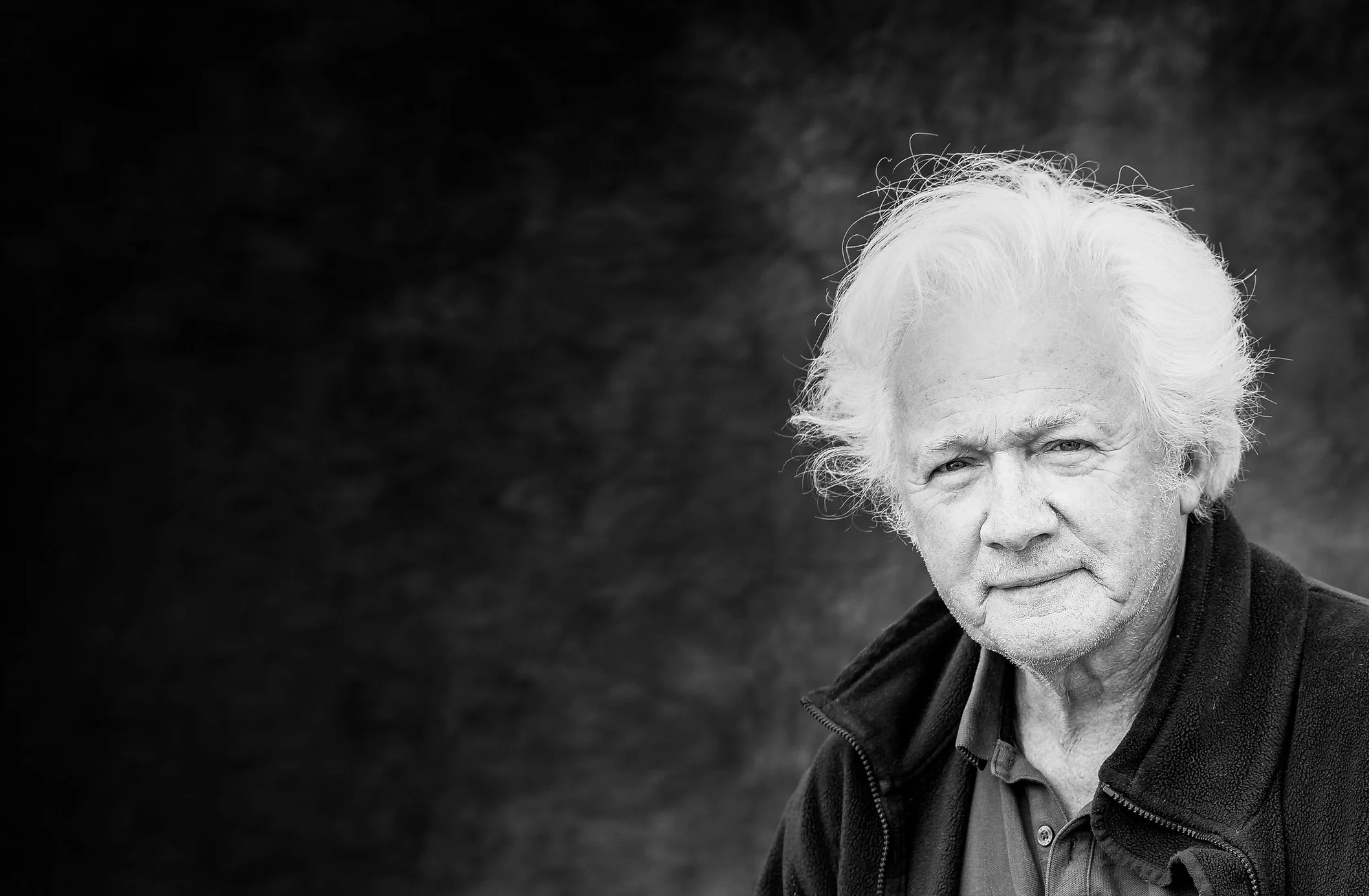 Homer_splash banner.jpg