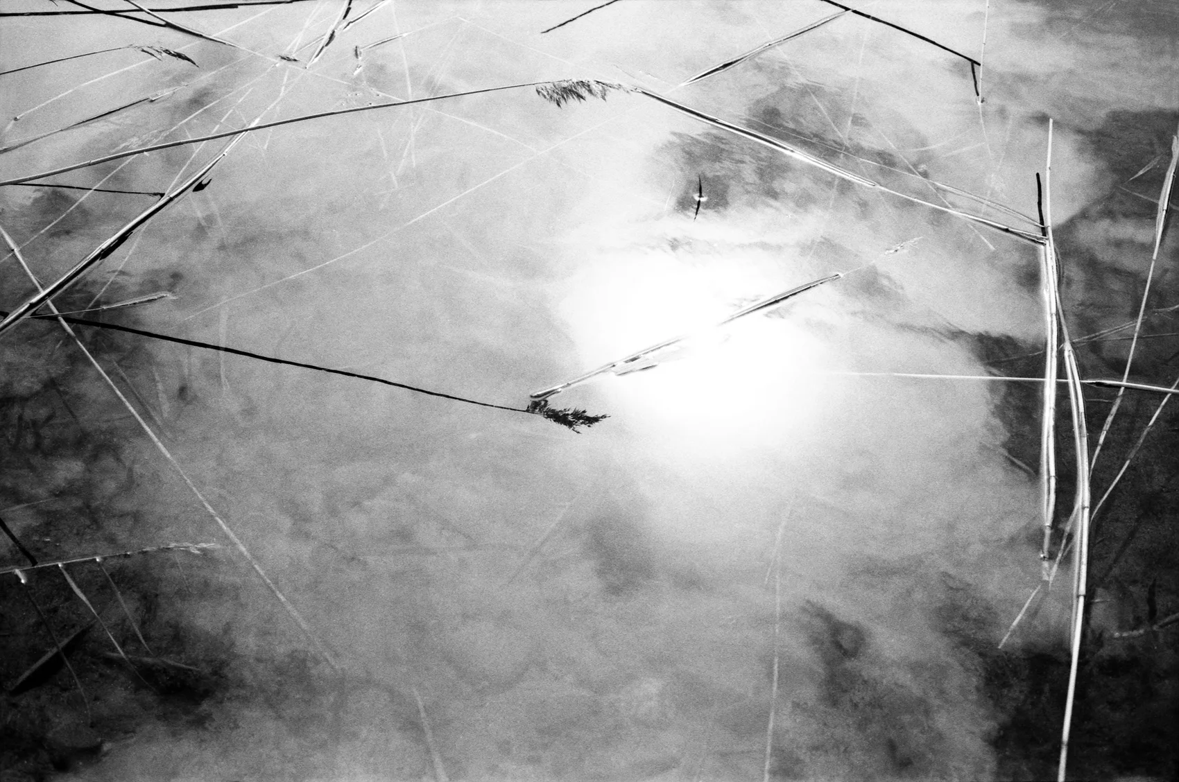 exhale - © Stéphane Pellennec