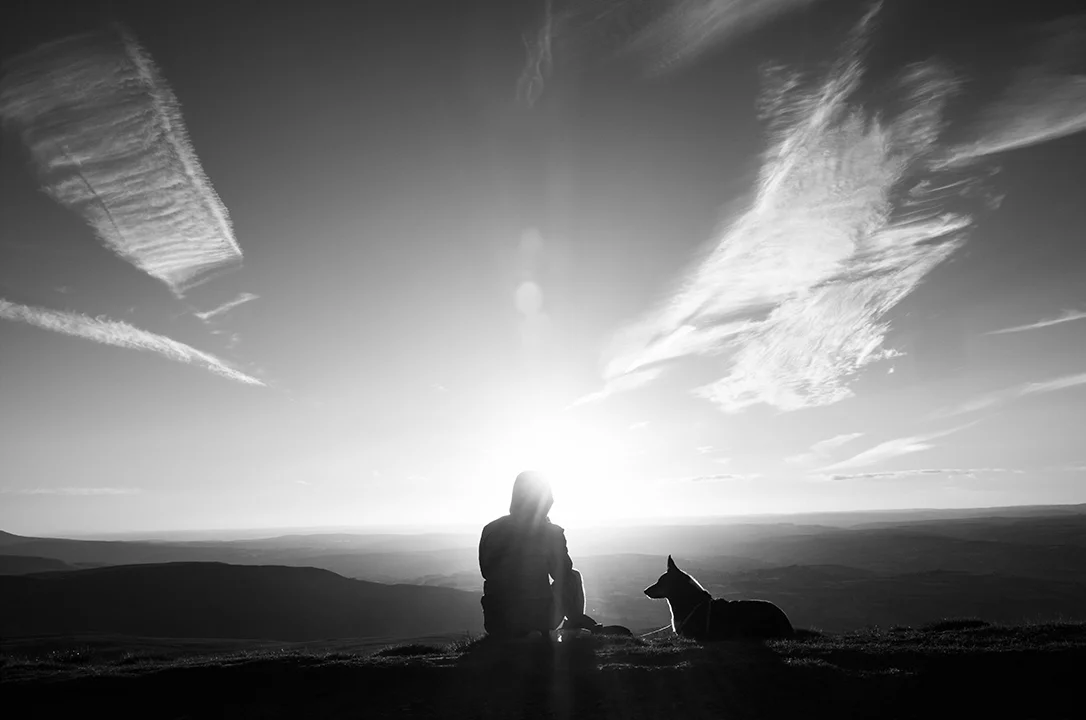 Nick Treharne : 20/20 Vision - A Portrait of Wales