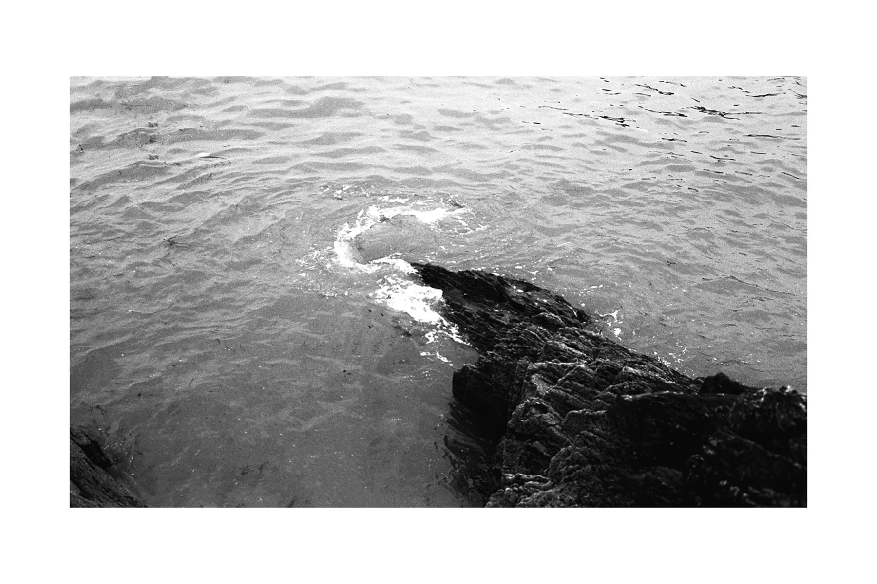 Image © Kirsten Wright