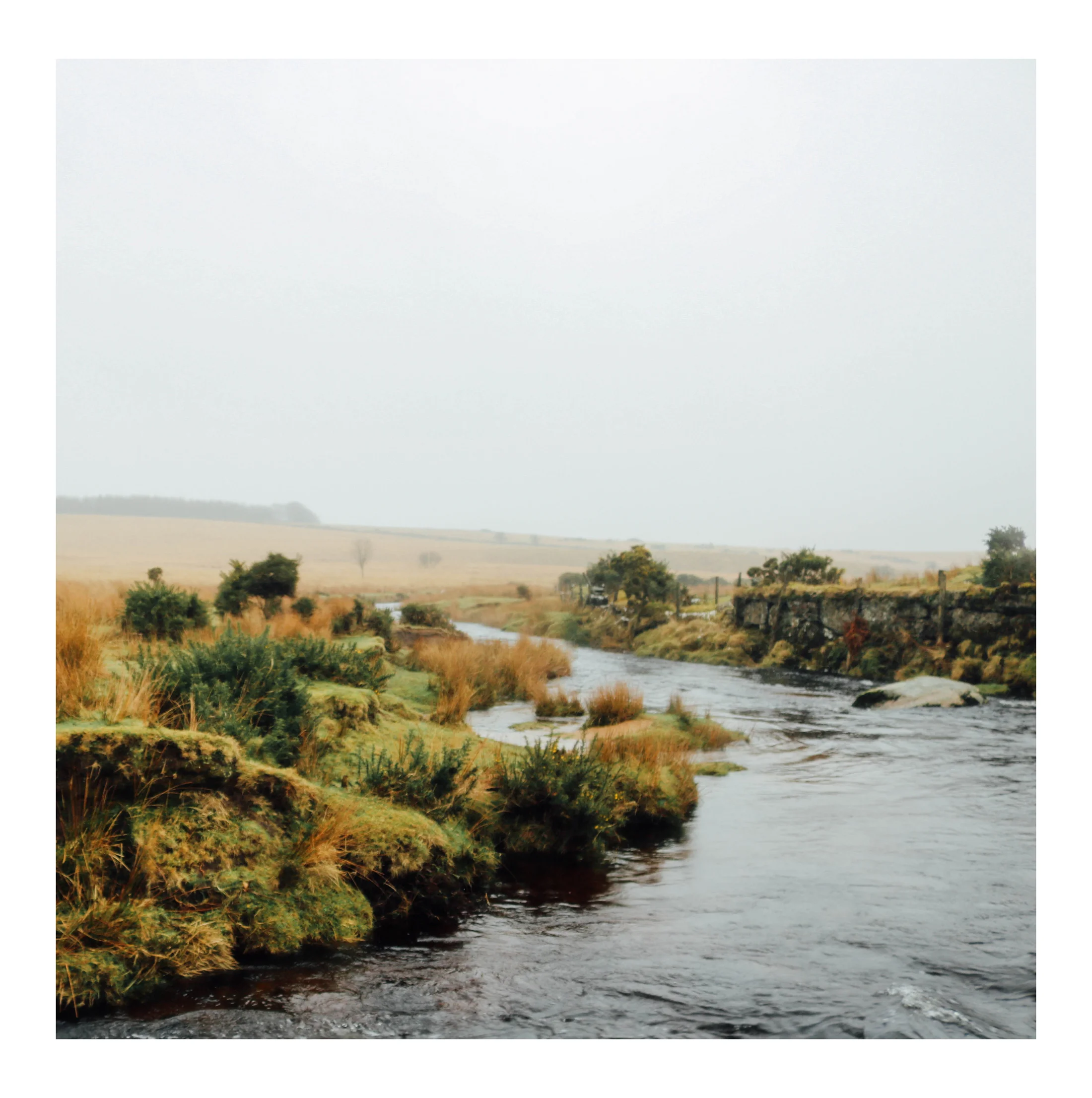 Image © Laurie Hicks