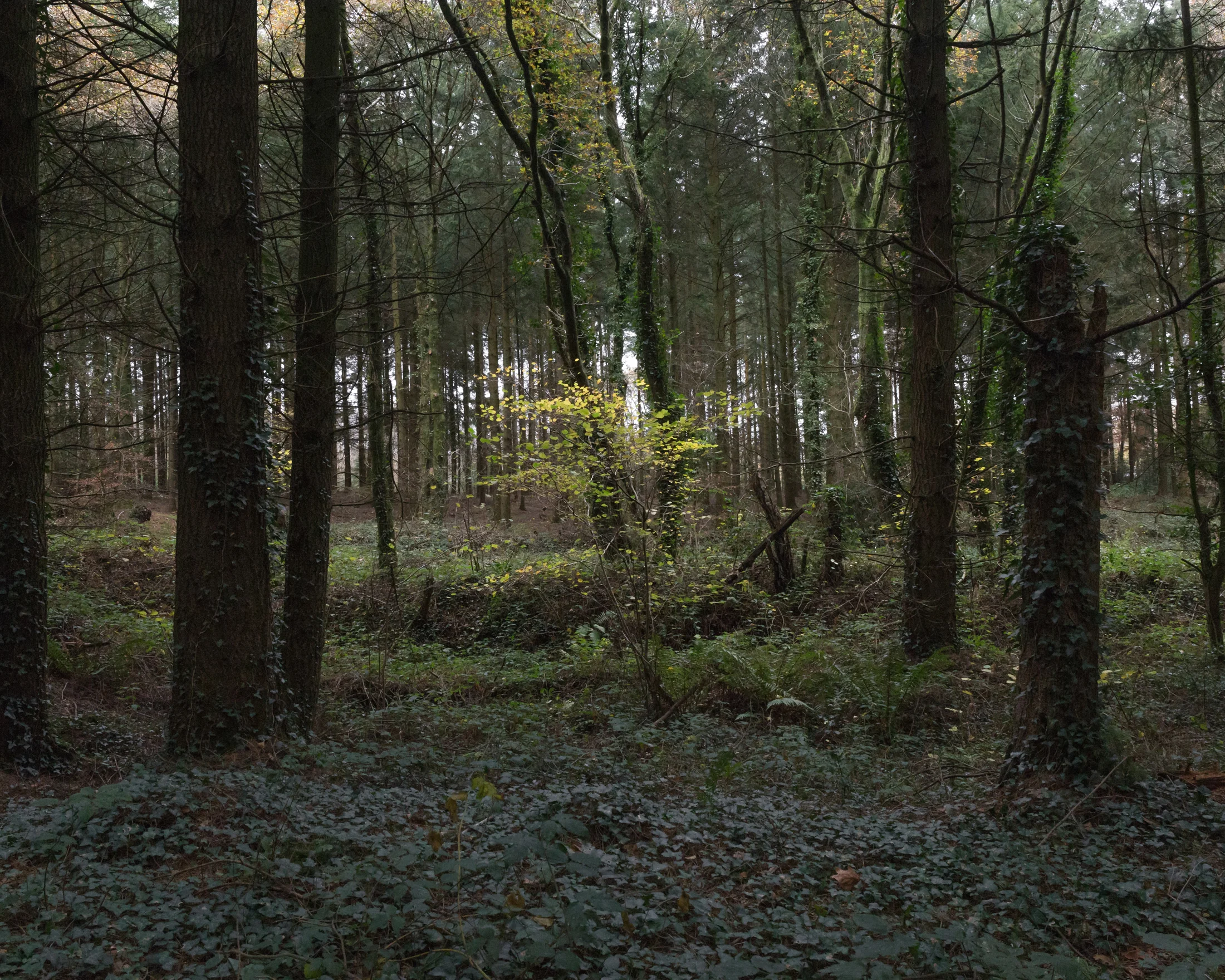 Image © Samuel Fradley