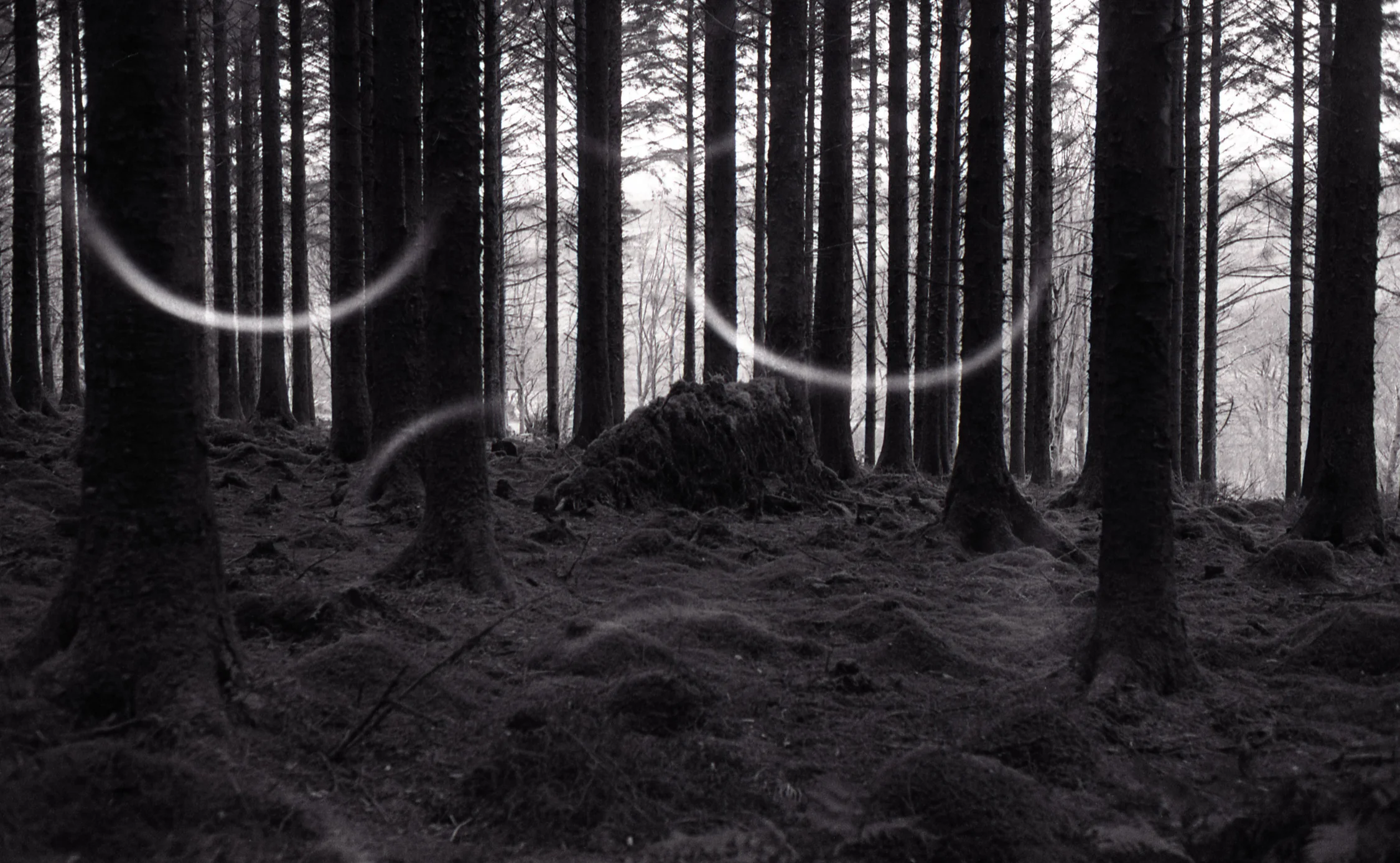 tenderfoot @ 76m² Pontypool