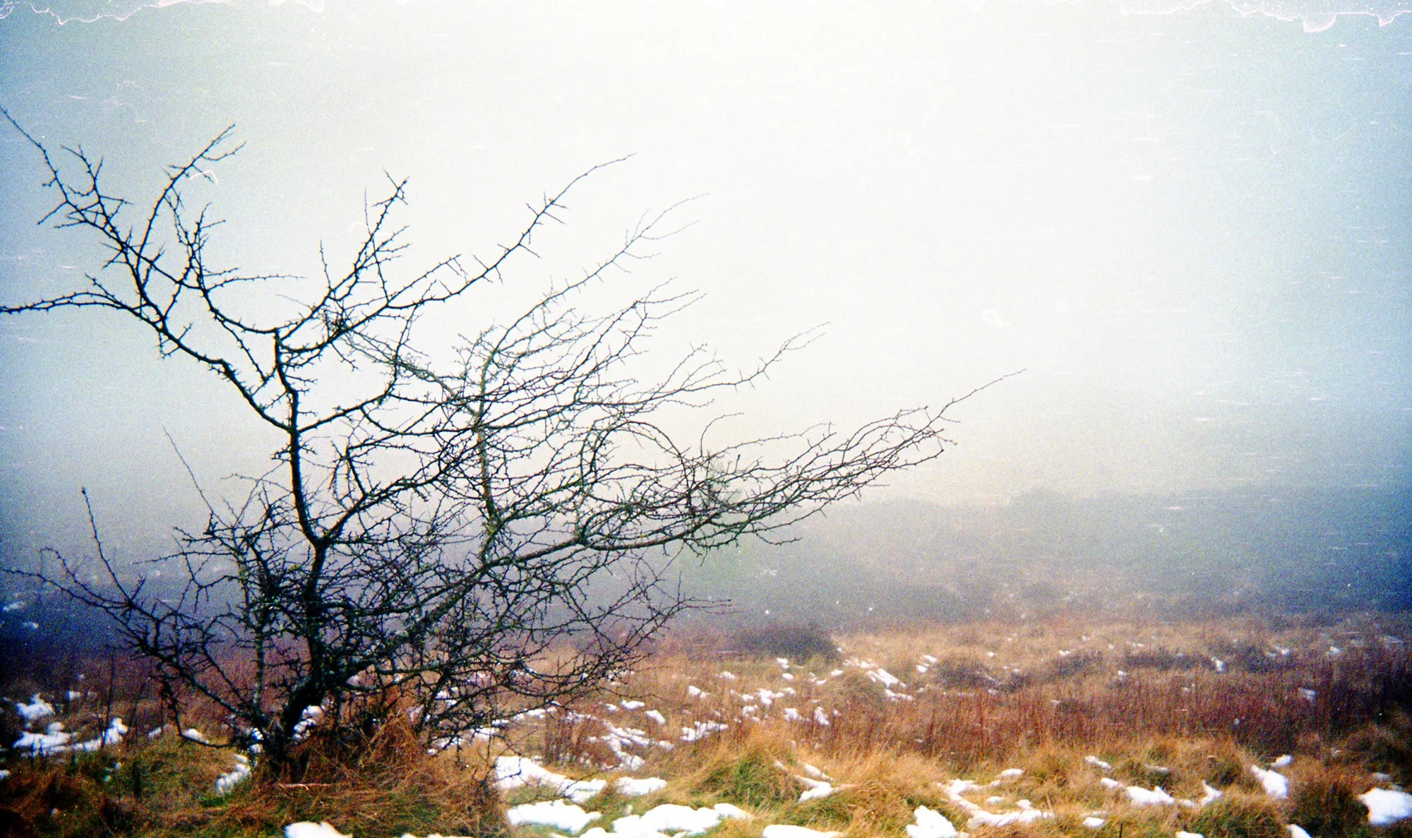 Image © Raven Marquardt