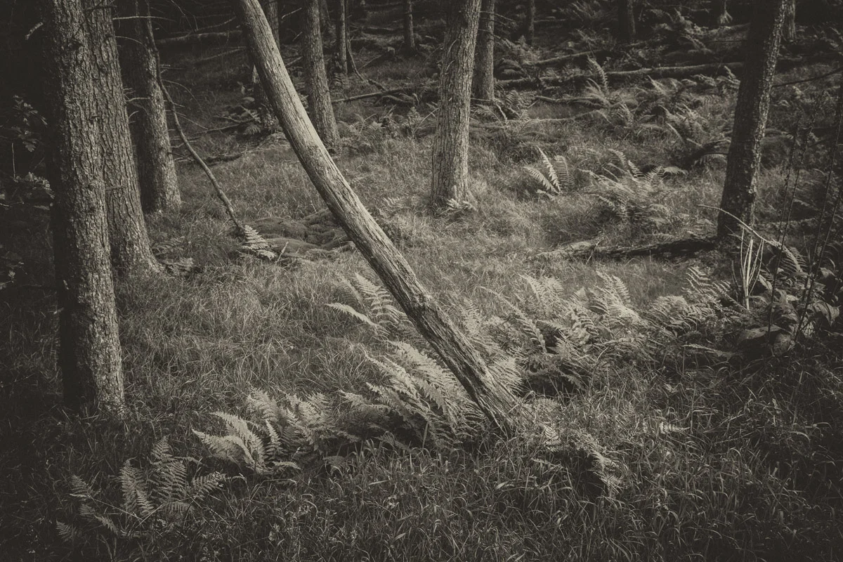 Nedd Valley exhibition @ Welsh Rarebit Centre