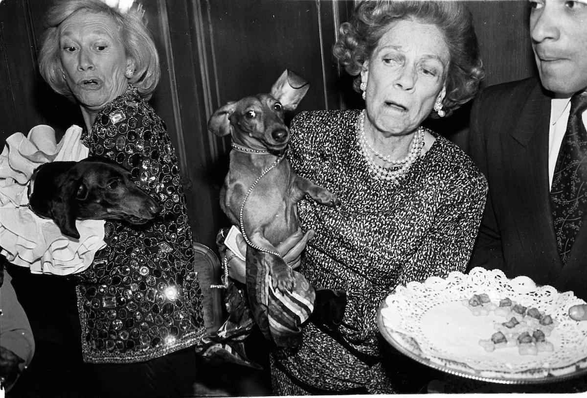 Iris Love and Brooke Astor with Just Desserts and Dolly Astor at a Dachund party. Barbetta, Manhattan, February 1990. © Photograph Copyright Dafydd Jones