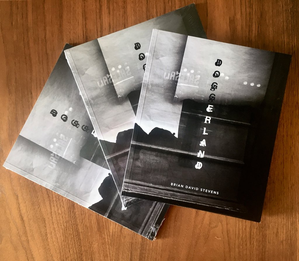 ‘Doggerland’ by Brian David Stevens.