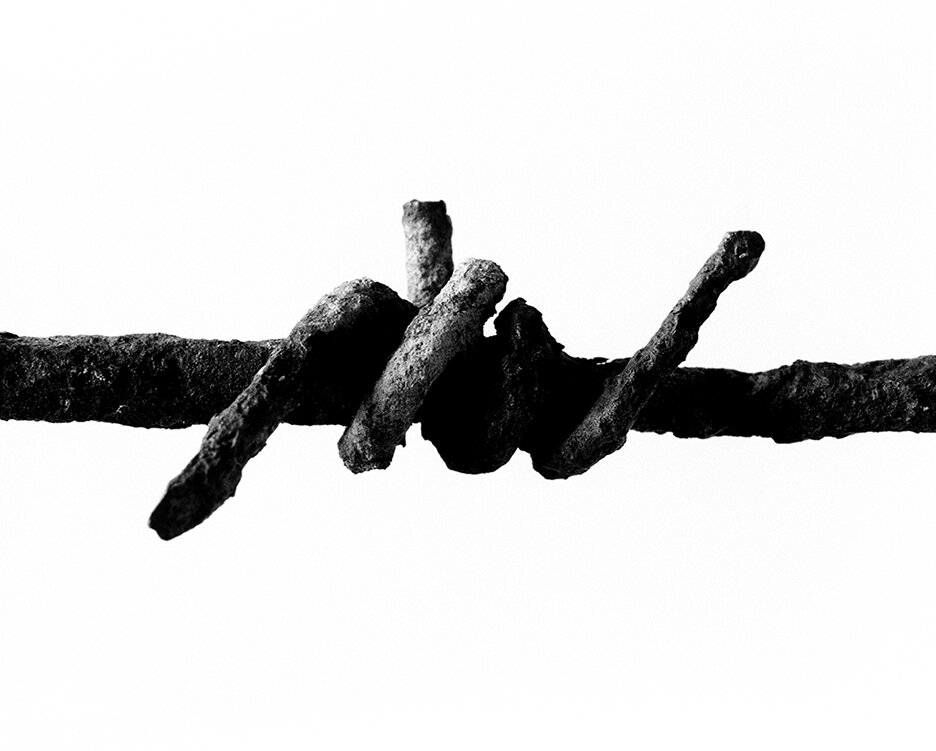 Barbed Wire, 2012