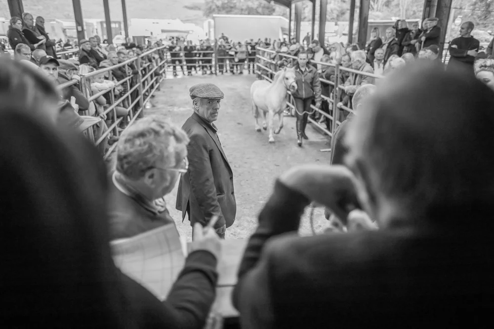  Llanybydder Horse Sale, Wales, 2019 © Haydn Denman 