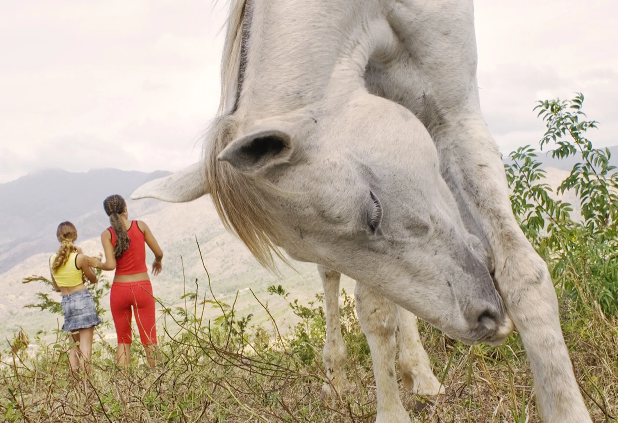 Cuba Noticed - image © Richard Greatrex