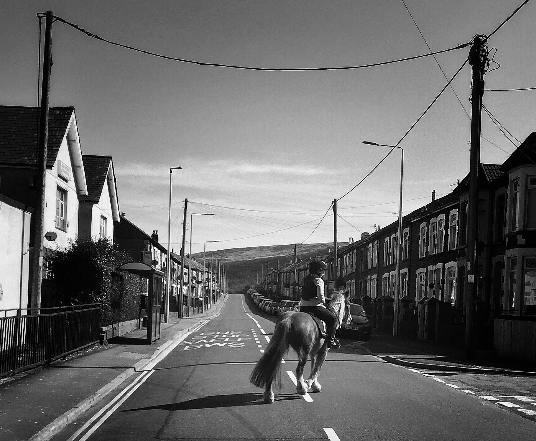 Horse, Richards St Maerdy, 2020 © Tracey Leonard