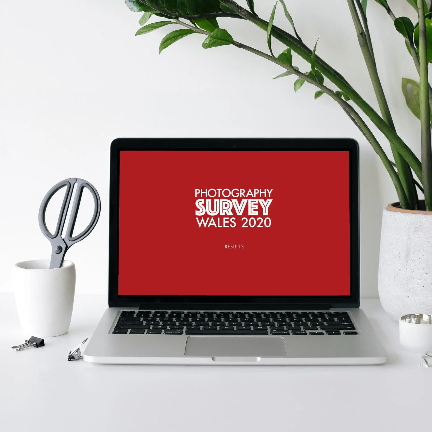 survey_laptop.jpg