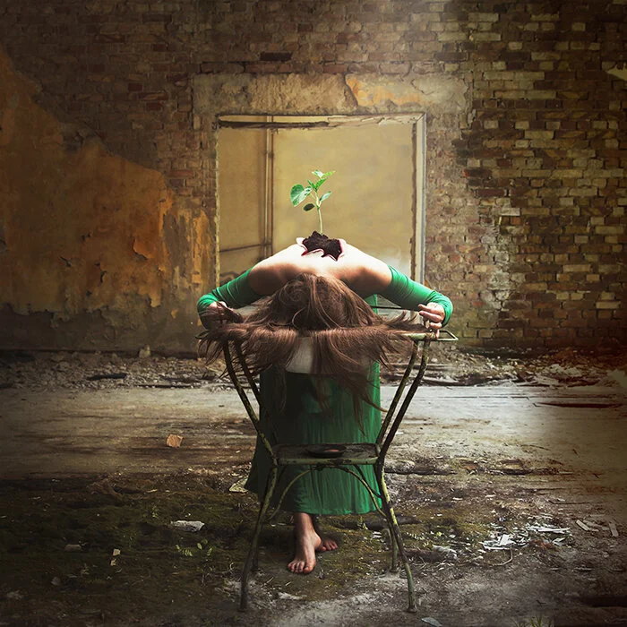 EMERGENCE - VERONIKA LAVEY