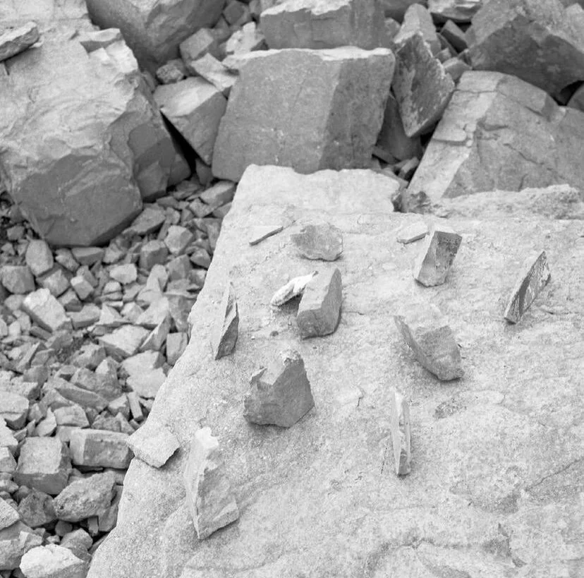 BIRDHOUSE @ ELYSIUM GALLERY