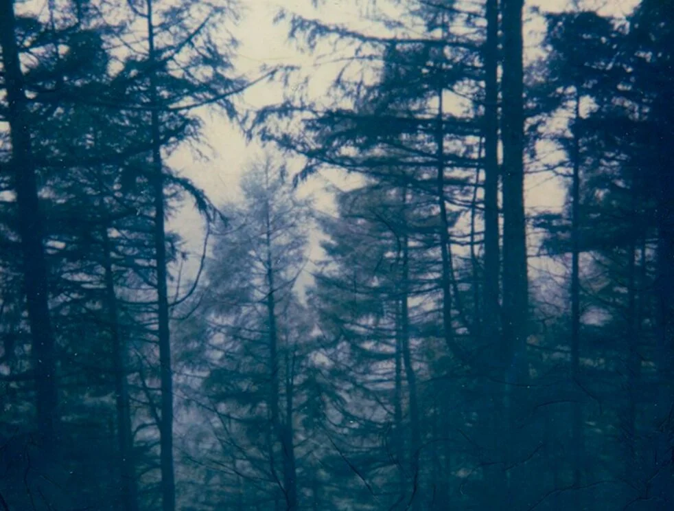 ONE @ Tilt &amp; Shift