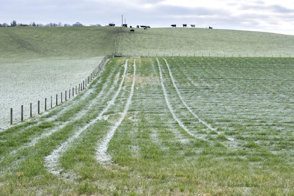 From 'Found in the Earth' by Paul Harris