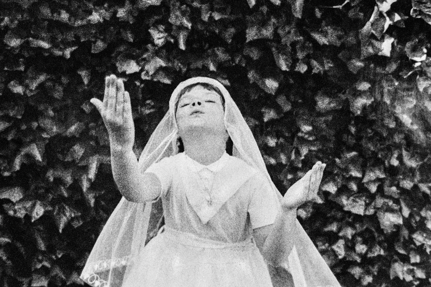 Image © David Hurn / Magnum Photos