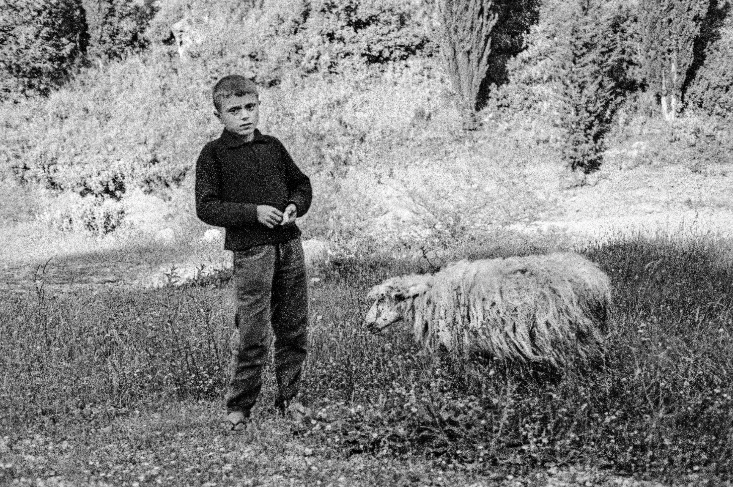 Image © David Hurn / Magnum Photos