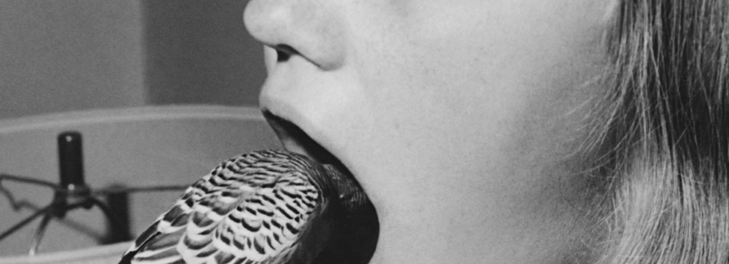 What Photography &amp; Incarceration have in Common with an Empty Vase @ Ffotogallery