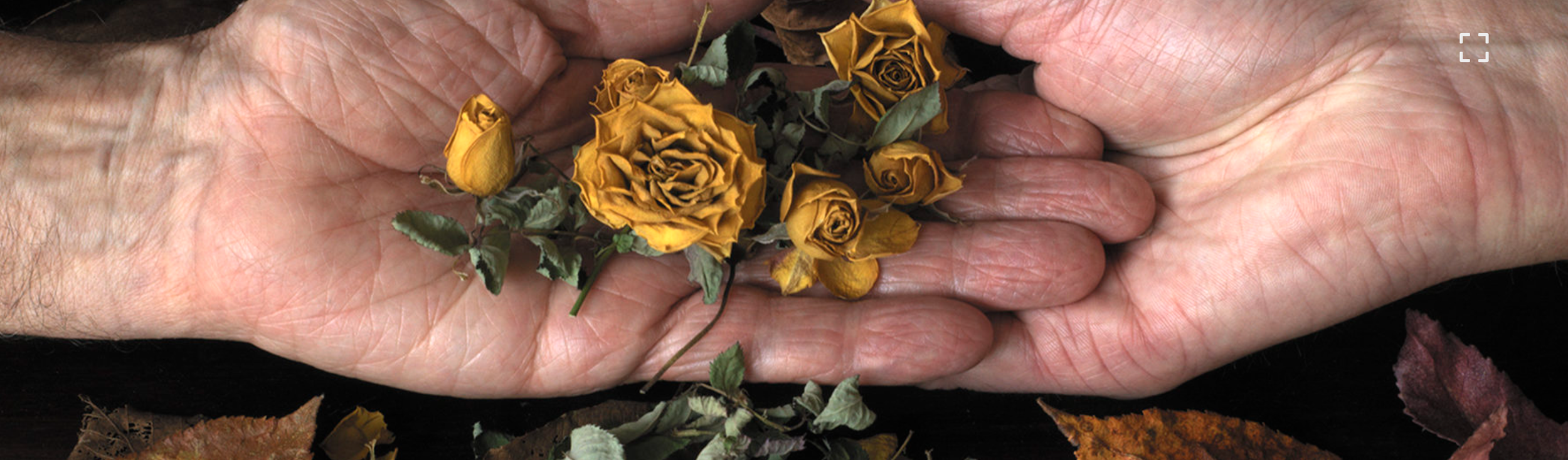 What is lost...what has been @ Ffotogallery