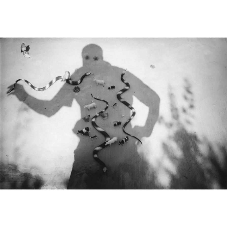 Peter Finnemore - One Image_sq.jpg