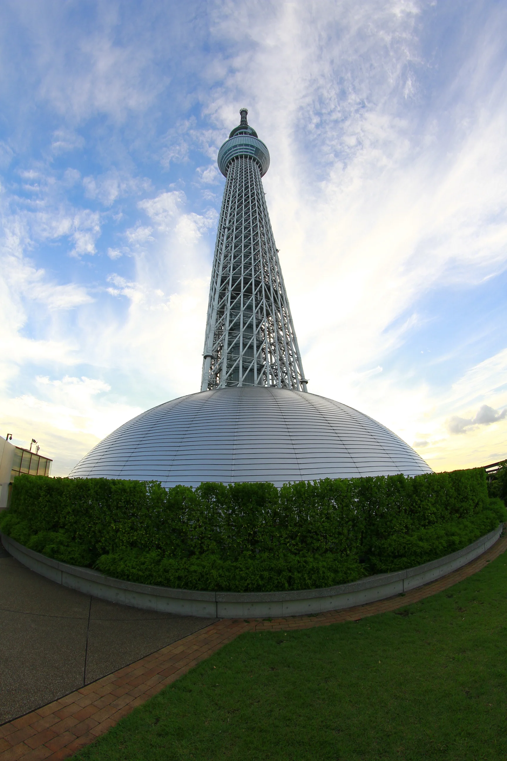 _MG_0870.JPG