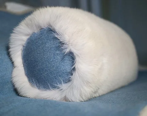 White Arctic Fox Cushion