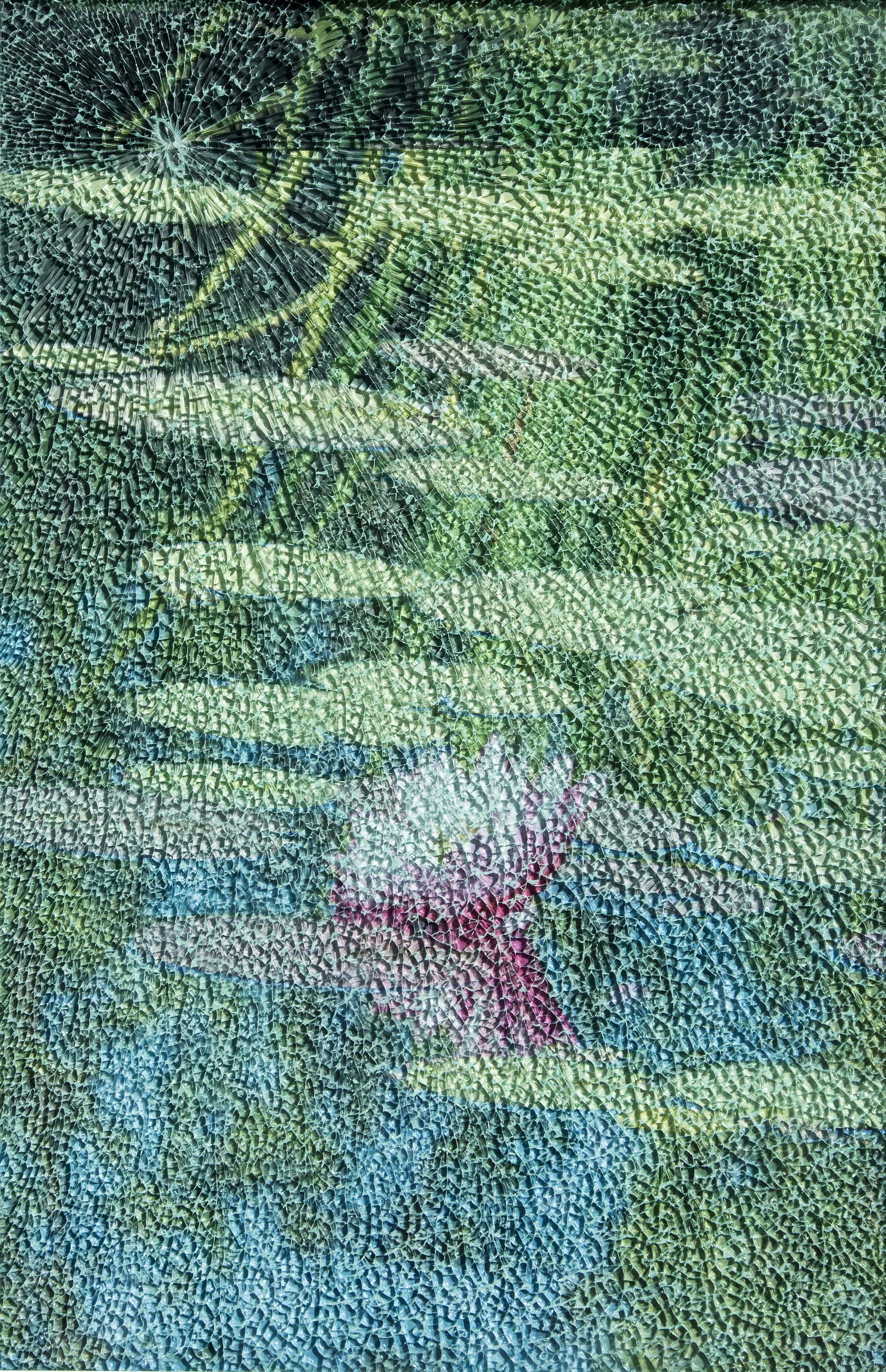 Botanic Garden Lillies-2014.jpeg