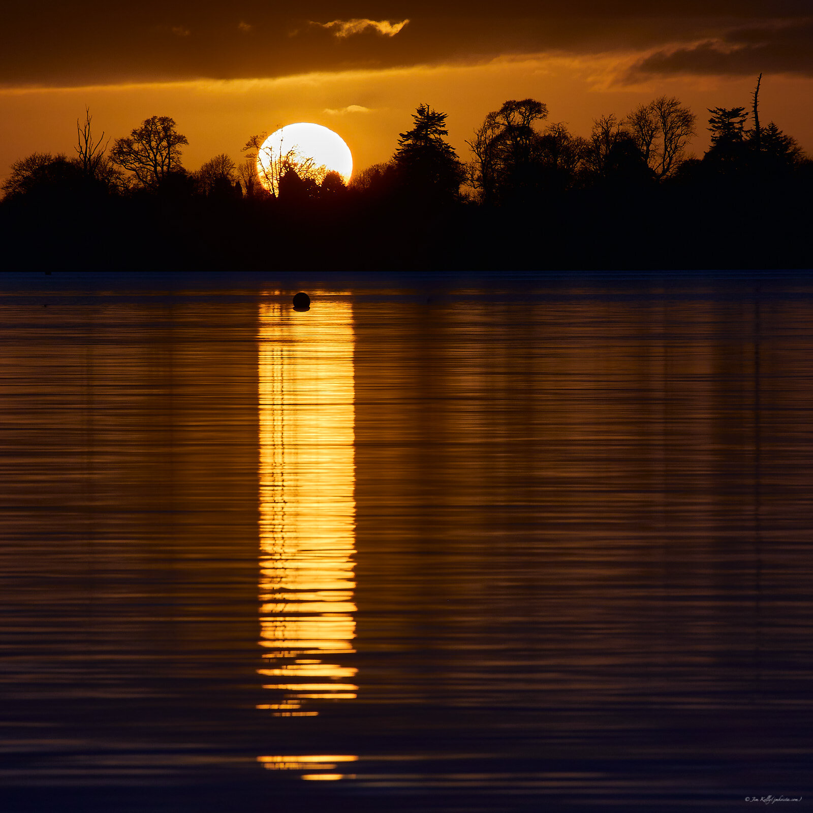 Evening Gold.jpg