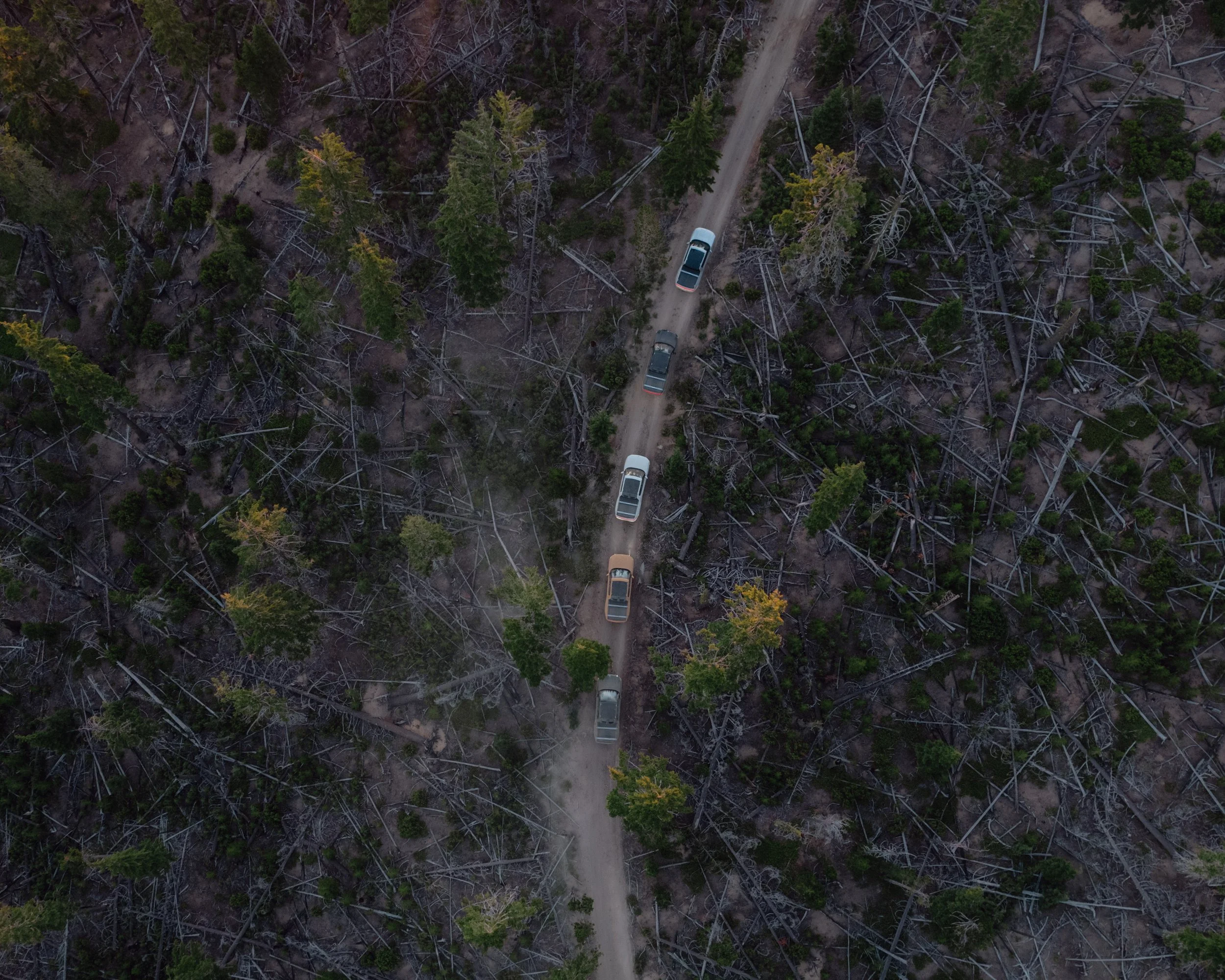 DJI_0697.jpg