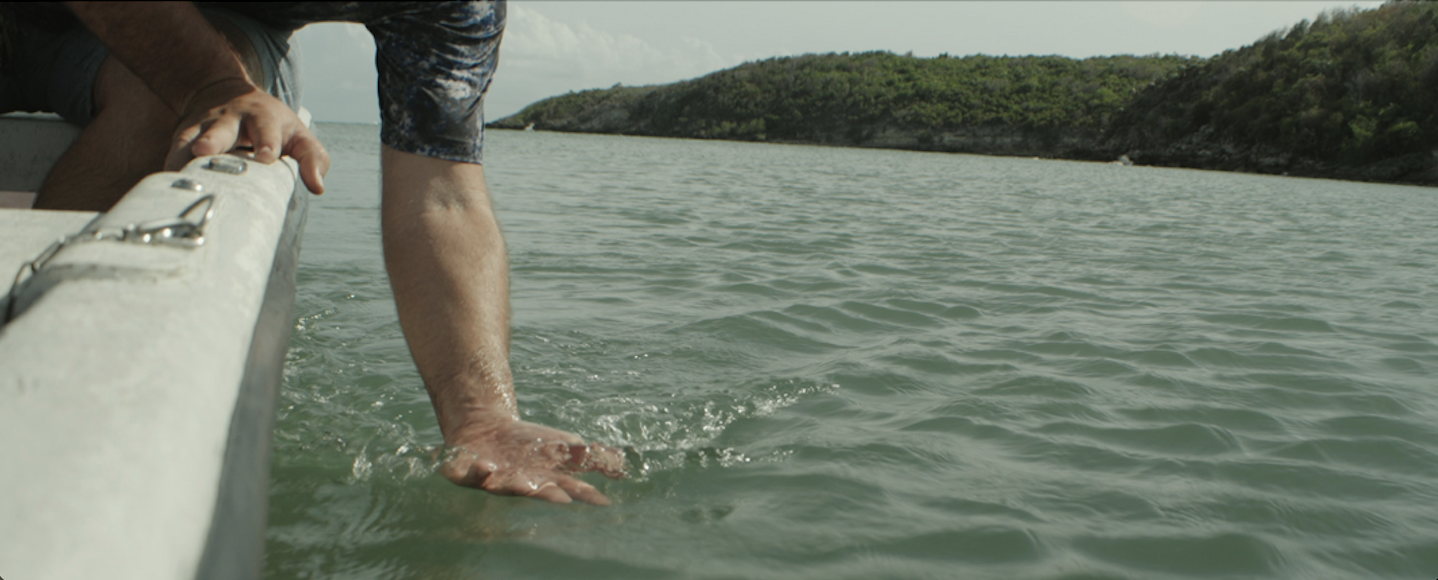 Screenshot 2024-02-15 at 8.43.07 AM.png