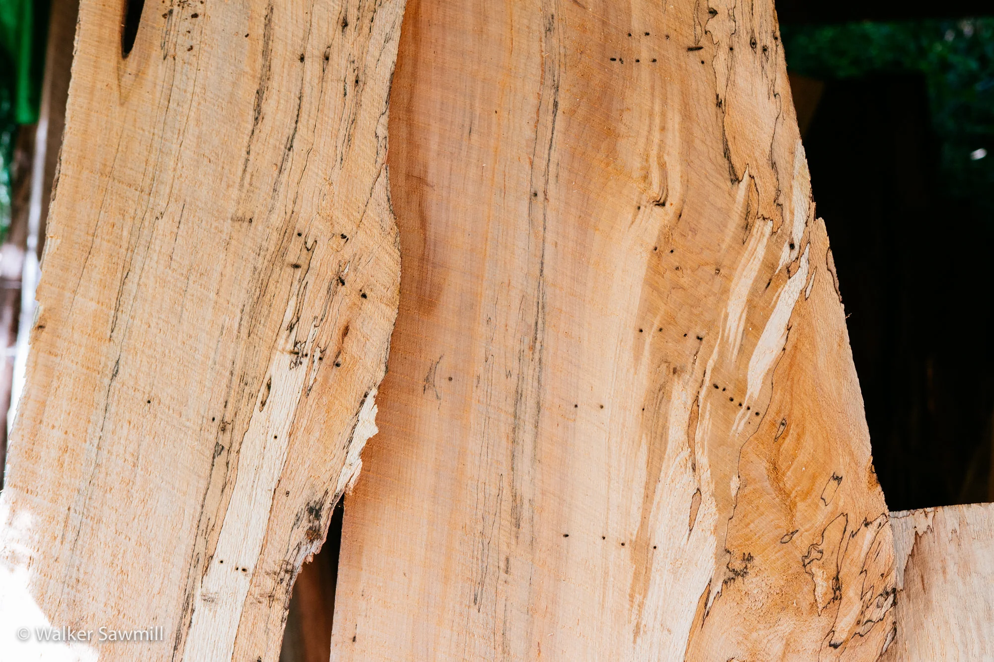 Wood John Walker Sawmill-223.jpg
