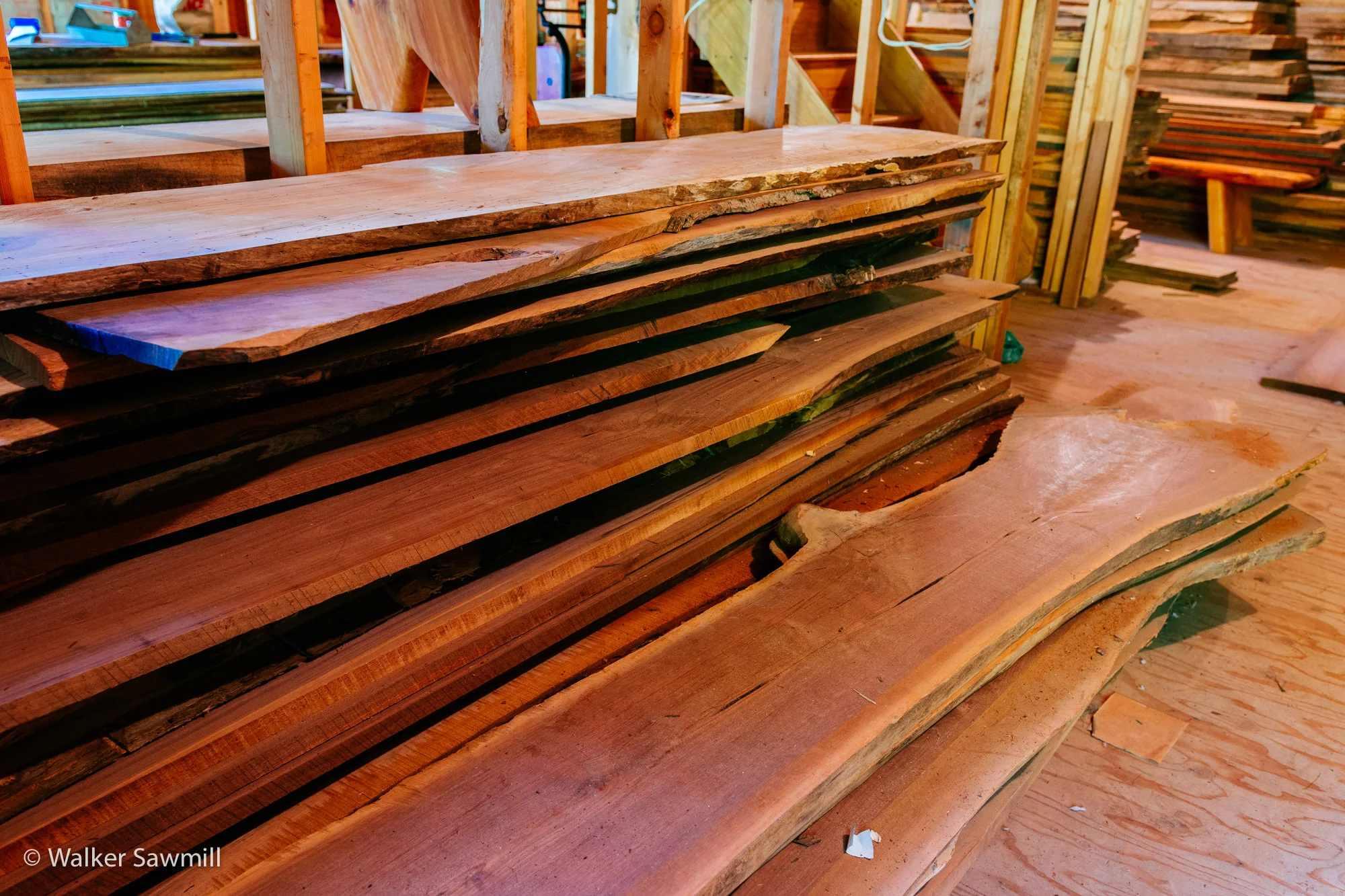 Wood John Walker Sawmill-228.jpg