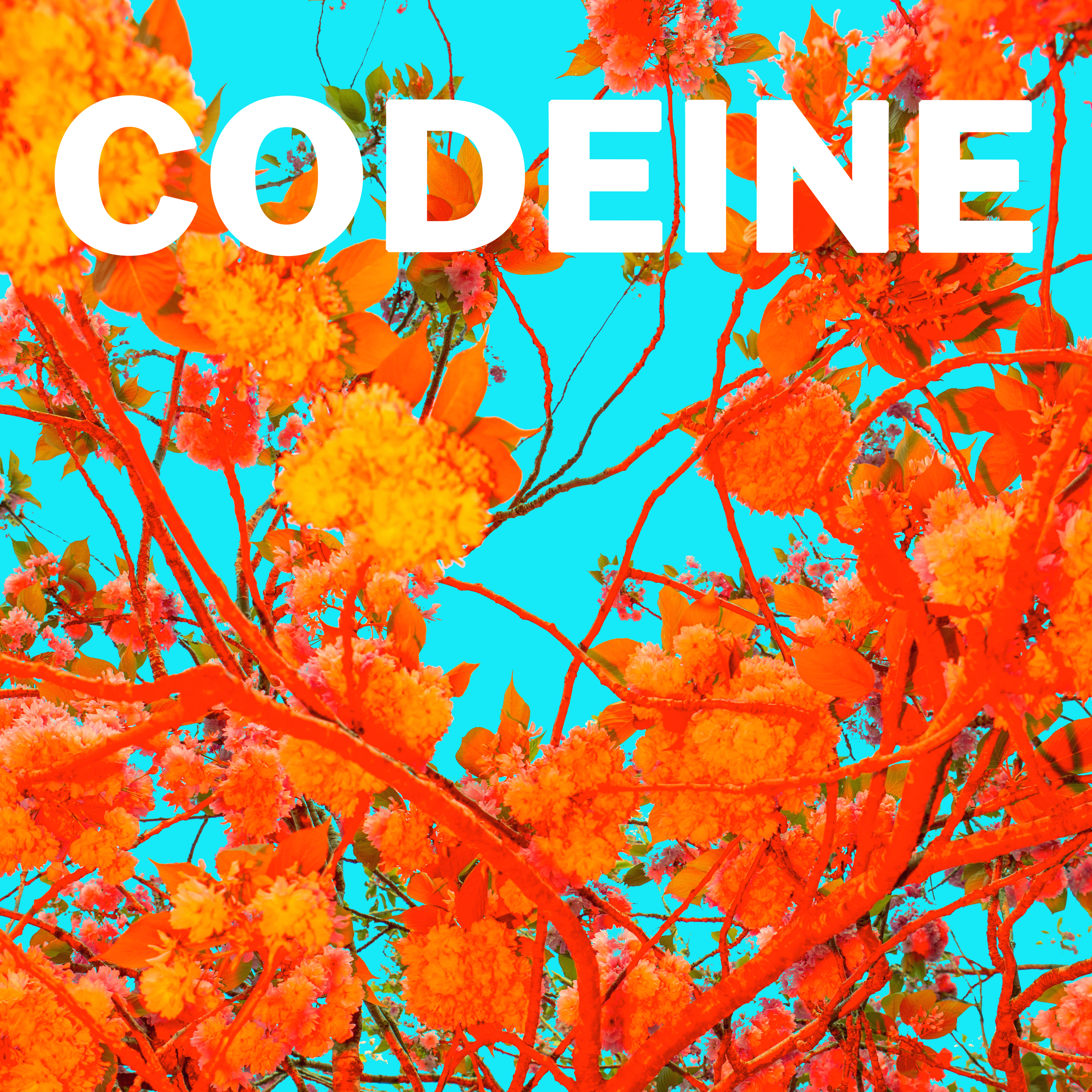 Codeine_2023ShowPoster_new design.png