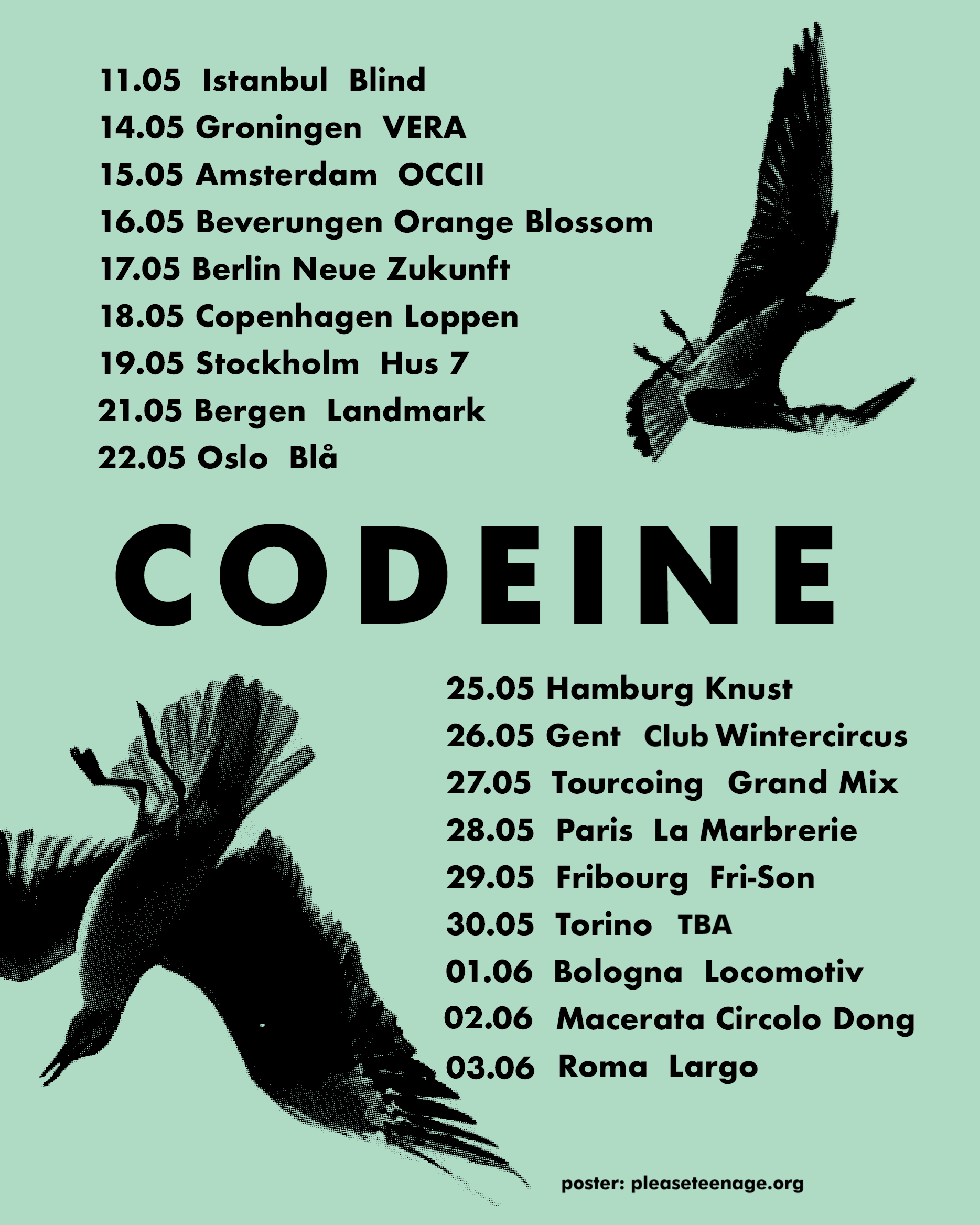 CODEINE POSTER 4 by 5 v3.png