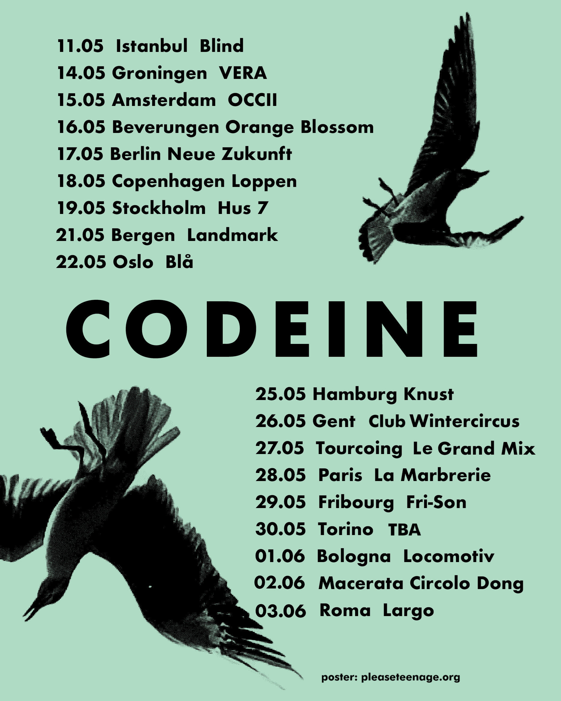 May-June European tour poster for NYC indie-rock band Codeine, an early pioneer of "slowcore", returning to Europe after 4 years with their first-ever shows in Turkie, Norway, Sweden; and first shows in cities in Belgium, France, and Italy. Epic!